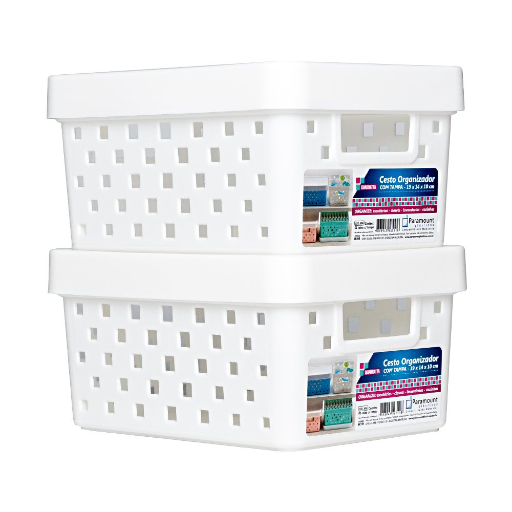 KIT 2 CESTOS ORGANIZADORES COM TAMPA 19X14X10CM